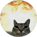 Filip K. profile picture